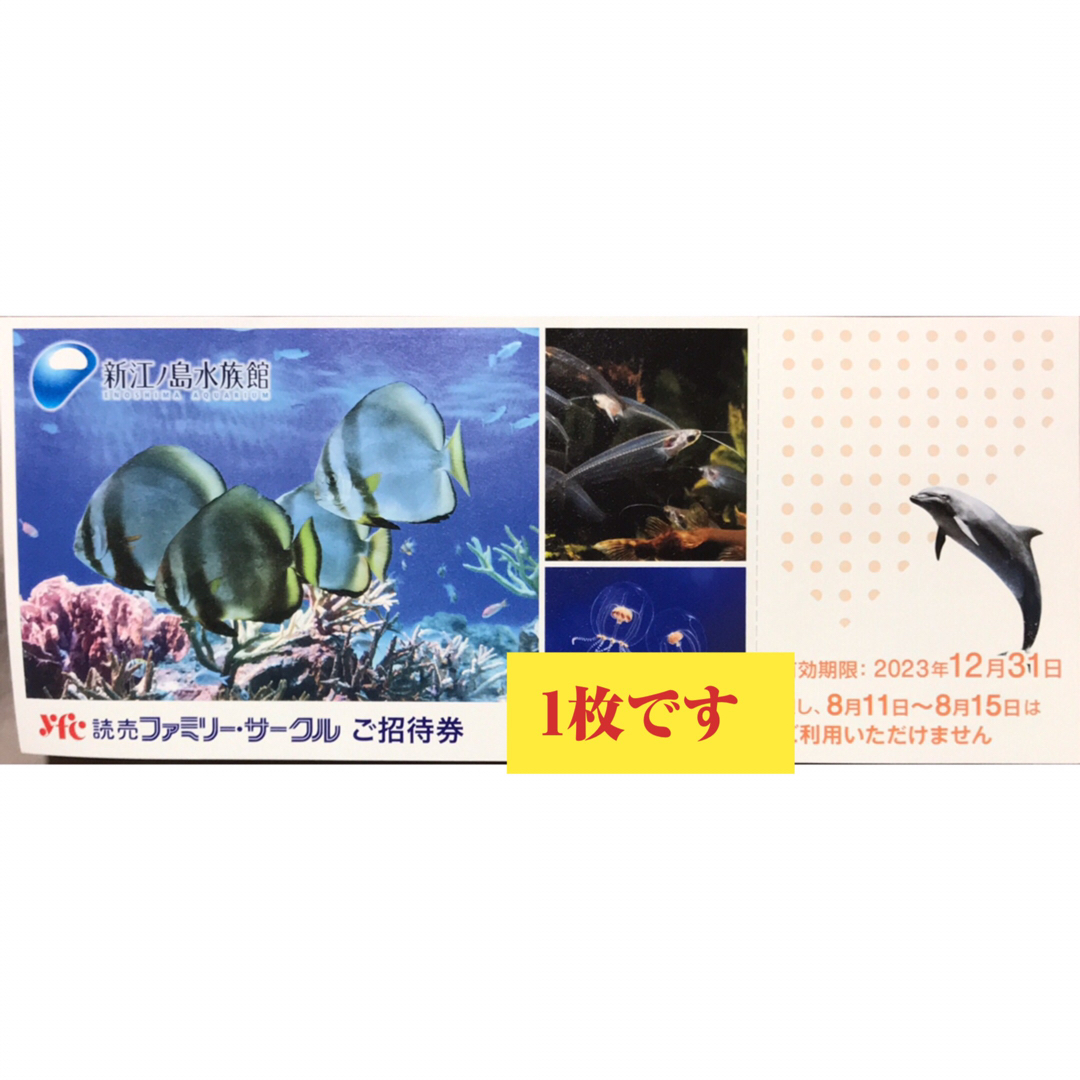 新江ノ島水族館 チケット ご招待券 2枚 2023年3月31日期限 - 水族館
