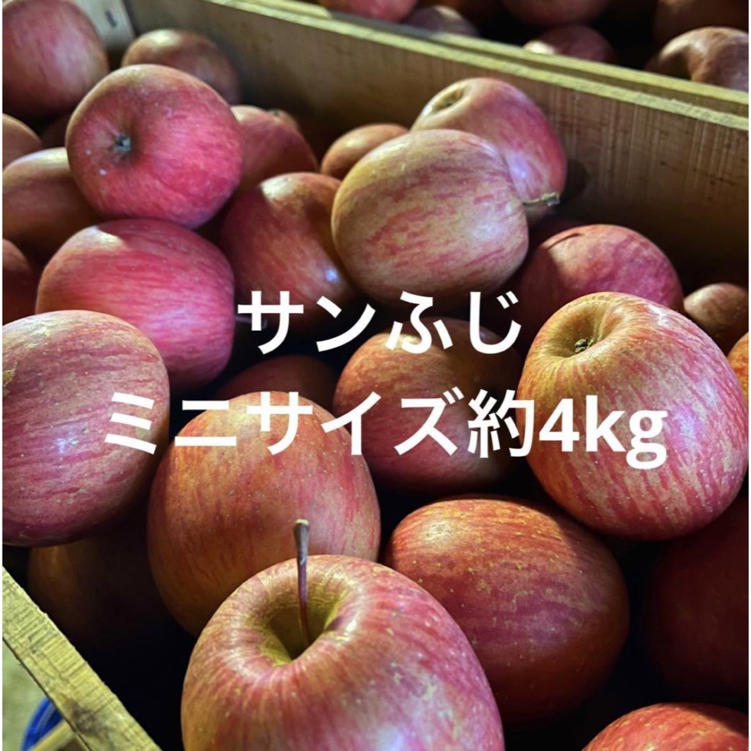 産地直送　サンふじ　青森県産　りんご　訳あり 食品/飲料/酒の食品(フルーツ)の商品写真