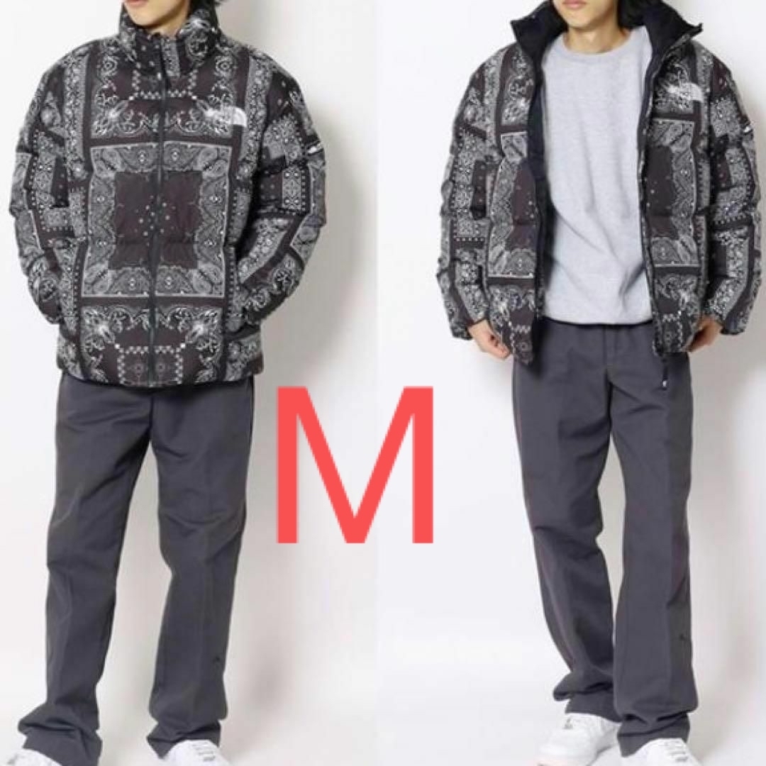 THE NORTH FACE - 【セール】ノースフェイス ノベルティ ペイズリー