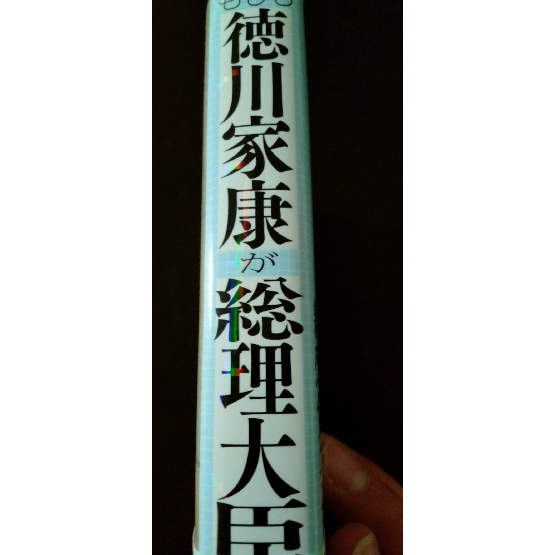 もしも徳川家康が総理大臣になったら エンタメ/ホビーの本(その他)の商品写真