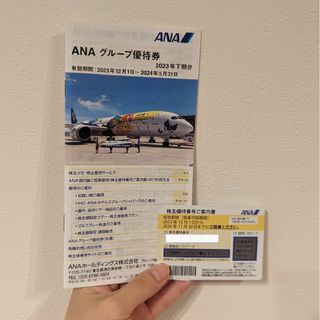 ANA　株主優待　グループ優待券(航空券)