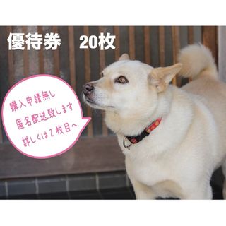 有効期限　2024年6月最終営業日　ルネサンス　株主優待　20枚(フィットネスクラブ)