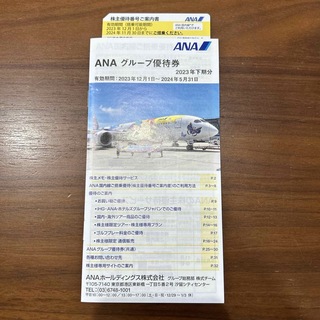 エーエヌエー(ゼンニッポンクウユ)(ANA(全日本空輸))のANA株主優待券1枚(その他)