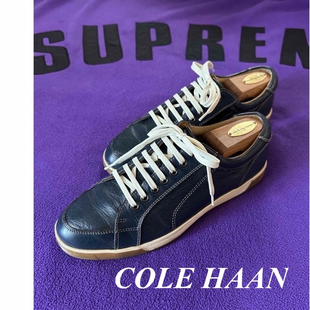 Cole Haan - ✨極美品✨COLE HAAN コールハーン スニーカー ネイビーの