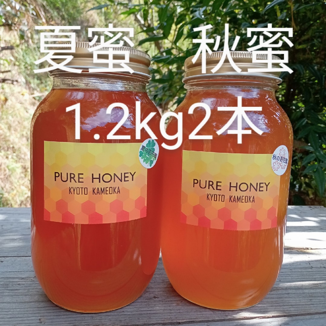 食品/飲料/酒国産　純粋　蜂蜜　生はちみつ　1.2kg　２本