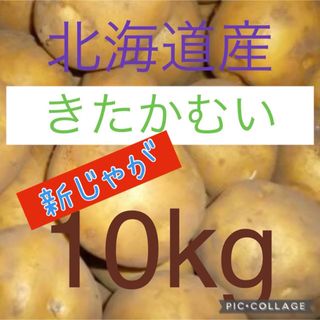 北海道産訳ありじゃがいも　きたかむい10kg(野菜)