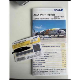 ANA株主優待券　アナ　半額　チケット(航空券)