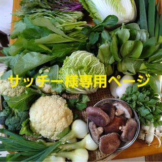 サッチー様専用ページです(野菜)