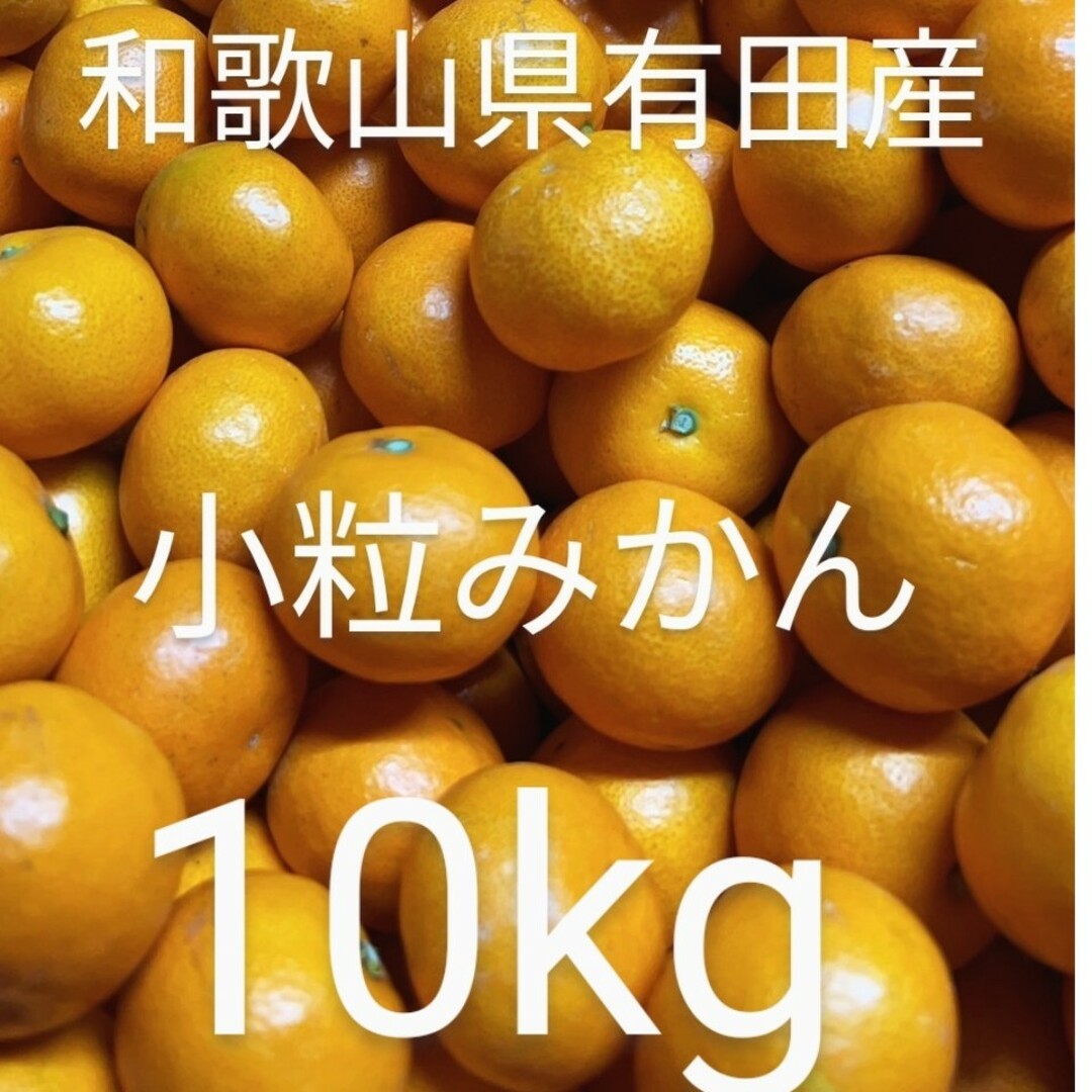 和歌山県有田産　小粒みかん10kg 食品/飲料/酒の食品(フルーツ)の商品写真