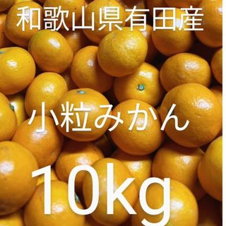 和歌山県有田産　小粒みかん10kg(フルーツ)