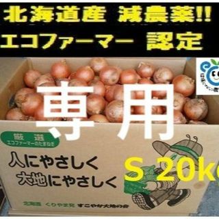 ブルースター様 専用 北海道産玉ねぎ 20kg Sサイズ(野菜)