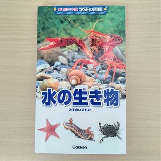 ガッケン(学研)の水の生き物(絵本/児童書)