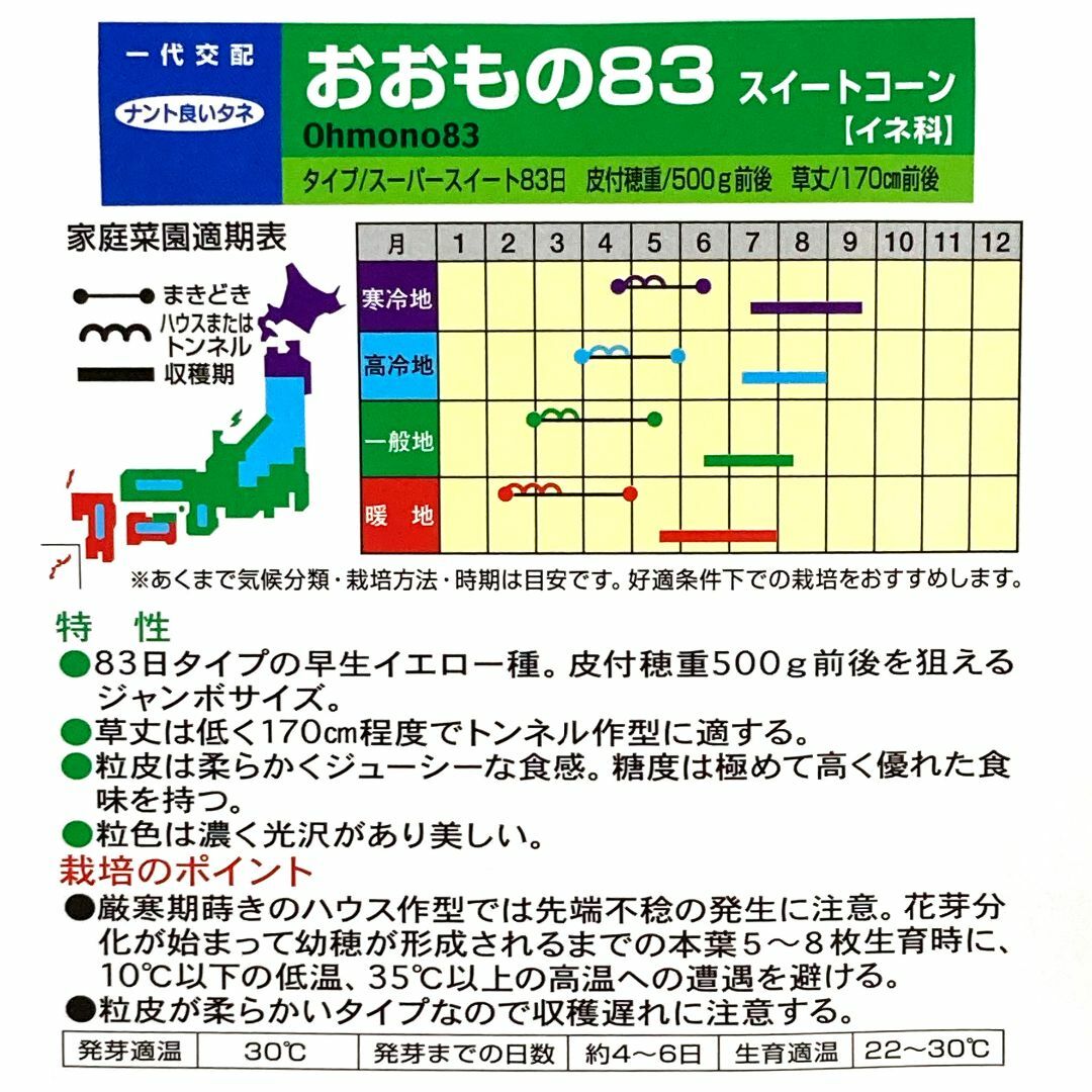 野菜種子 EAW おおもの83 10粒 x 2袋 食品/飲料/酒の食品(野菜)の商品写真