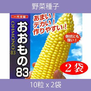 野菜種子 EAW おおもの83 10粒 x 2袋(野菜)