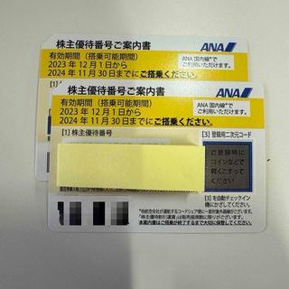 エーエヌエー(ゼンニッポンクウユ)(ANA(全日本空輸))のANA（全日空）株主優待券 2枚 割引券(航空券)