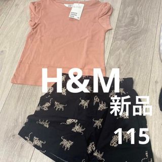 エイチアンドエイチ(H&H)のH&M セットアップ　115(Tシャツ/カットソー)