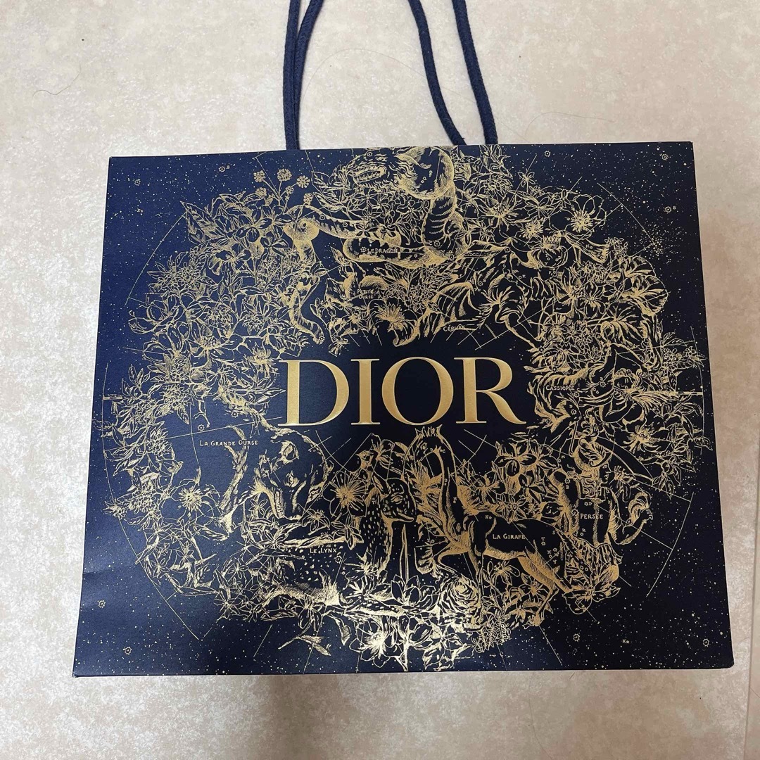 Dior(ディオール)のDiorショッパー レディースのバッグ(ショップ袋)の商品写真