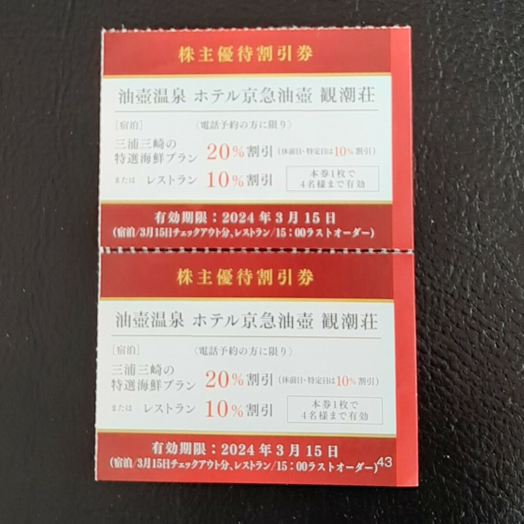 油壺温泉　ホテル京急油壺　観潮荘　優待割引券 チケットの優待券/割引券(宿泊券)の商品写真