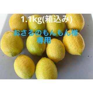 レモン　無農薬　1.1kg (箱込み)(フルーツ)