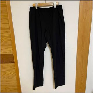 アークテリクス(ARC'TERYX)のARC'TERYX 23AW Proton Pant M(その他)