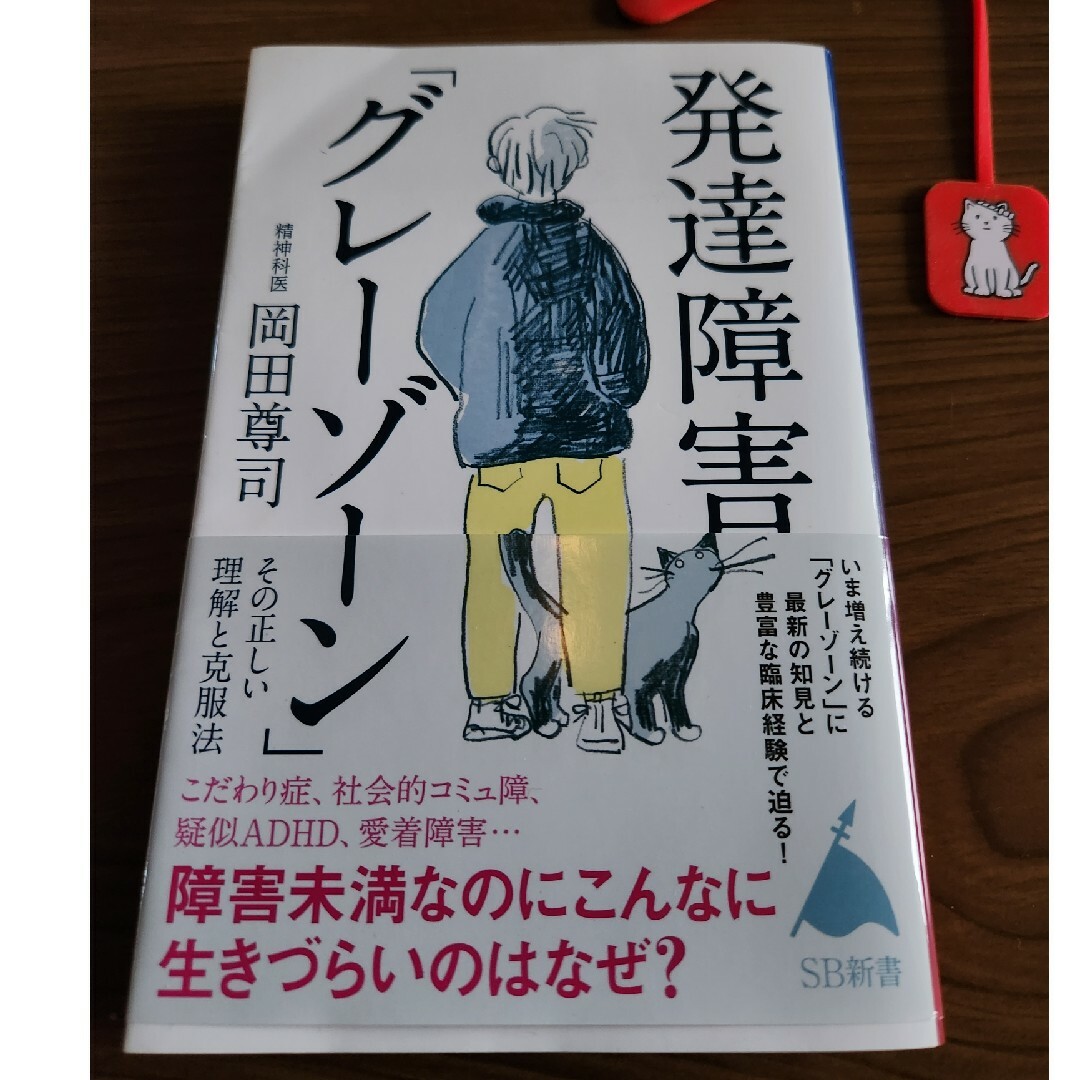 発達障害グレーゾーン  岡田尊司 エンタメ/ホビーの本(人文/社会)の商品写真