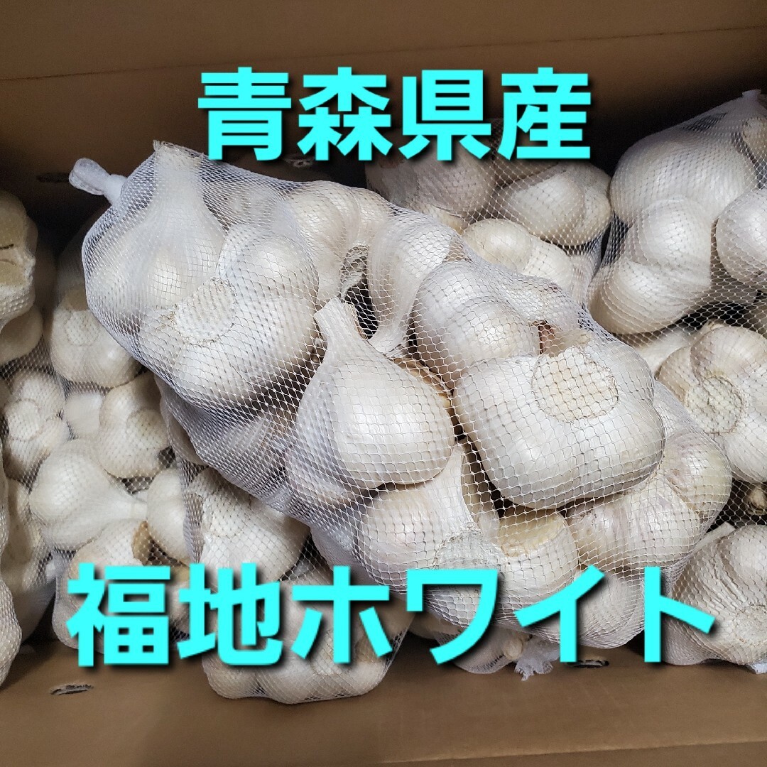 【良品】令和5年度　青森県産　Ｌサイズ　１kg　にんにく福地ホワイト六片 食品/飲料/酒の食品(野菜)の商品写真