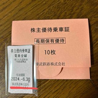 東武鉄道　株主優待乗車証　切符10枚(鉄道乗車券)