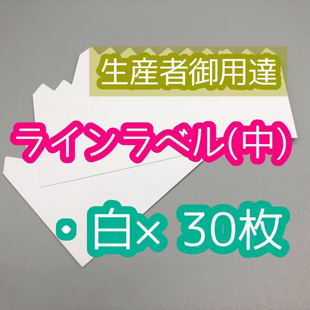 ラインラベル 中 白 30枚 園芸カラーラベル 多肉植物 エケベリア ハンドメイドのフラワー/ガーデン(プランター)の商品写真