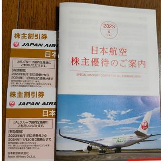 ジャル(ニホンコウクウ)(JAL(日本航空))のJAL 日本航空 株主優待  ２枚(その他)