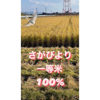 ⭐️新米 令和5年産1等米⭐️佐賀県産さがびより20k(5k×2袋)(米/穀物)