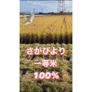 ⭐️新米令和5年産1等米⭐️佐賀県産さがびより10k(5k×2袋)(米/穀物)