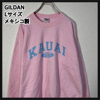 ギルタン(GILDAN)の【ギルダン】メキシコ製スウェット　ハワイ　カウアイ　花柄ピンクハイビスカス97(スウェット)