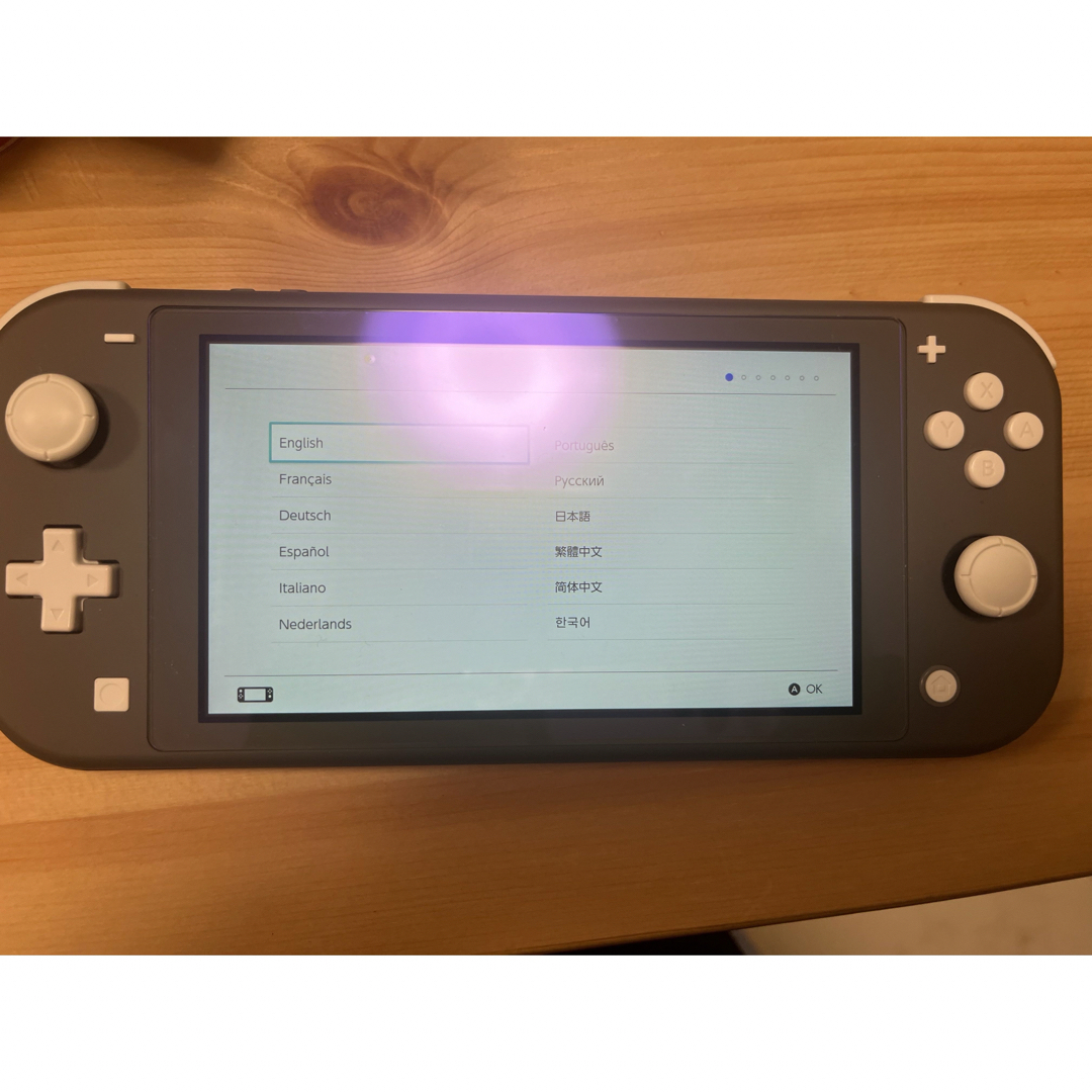 作品 Nintendo Switch LITE グレー ニンテンドースイッチライト