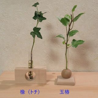 天然木【橡】【玉椿】可愛い一輪挿しセット(花瓶)