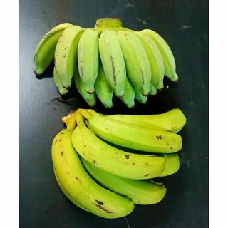 沖縄本島北部産　「台湾系島バナナ」「アップルバナナ」の2種セット(フルーツ)