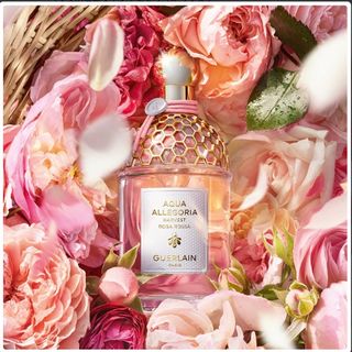 ゲラン(GUERLAIN)の【新品】GUERLAIN アクア アレゴリア ハーベスト ローザロッサ EDT(その他)