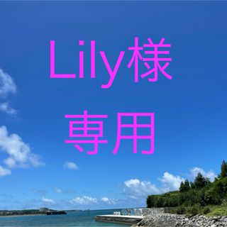 ボウダンショウネンダン(防弾少年団(BTS))のLily様 専用(その他)