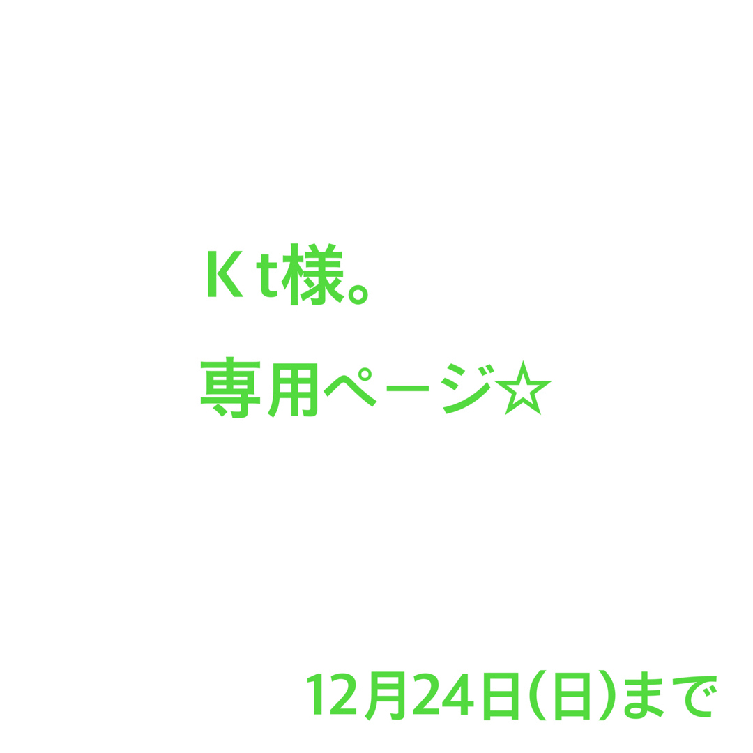 Kt様。専用ページ☆ | フリマアプリ ラクマ