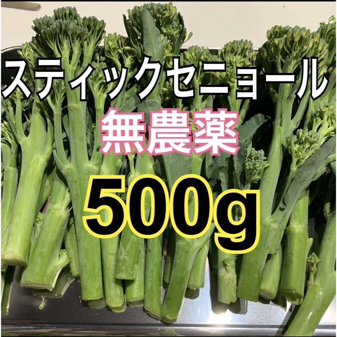 スティックセニョール　500g 食品/飲料/酒の食品(野菜)の商品写真