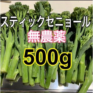 スティックセニョール　500g(野菜)