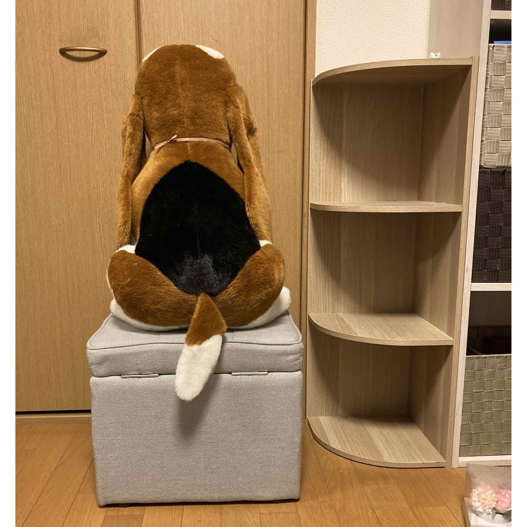Hush Puppies - ハッシュパピー ぬいぐるみ 特大の通販 by み Hush Puppies - ハッシュパピー ぬいぐるみ 特大の通販 by み