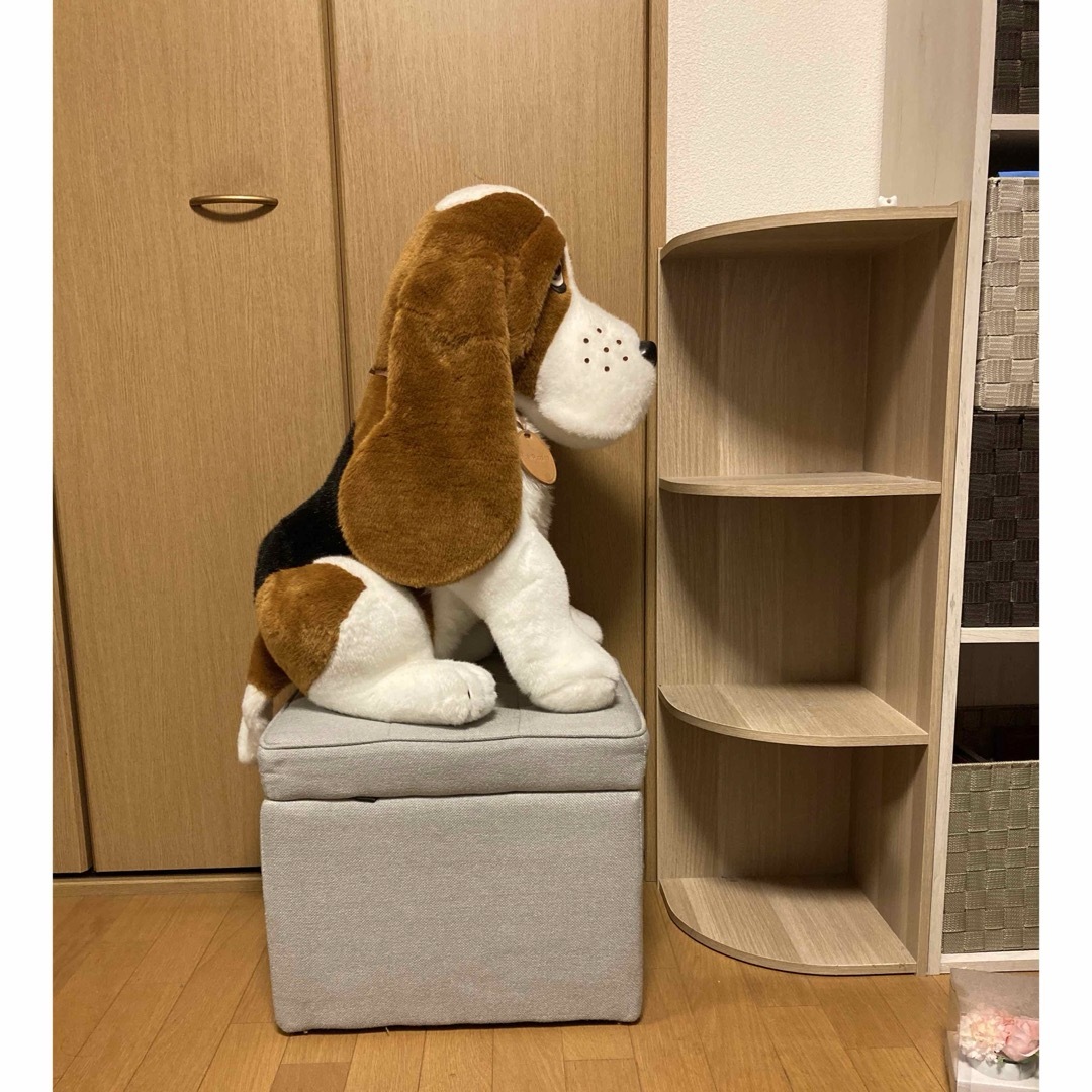 Hush Puppies - ハッシュパピー ぬいぐるみ 特大の通販 by み Hush Puppies - ハッシュパピー ぬいぐるみ 特大の通販 by み