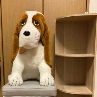 WEB限定カラー Hush Puppies(おもちゃ/ぬいぐるみ)のフリマアイテム一覧 イヌ一般