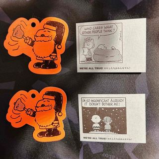 ピーナッツ(PEANUTS)のスヌーピーミュージアム　入場特典カードセット(キャラクターグッズ)