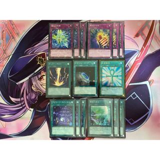 遊戯王 - 【24時間以内発送】遊戯王 魔救(アダマシア)本格構築済み 遊戯王 - 【24時間以内発送】遊戯王 魔救(アダマシア)本格構築済み