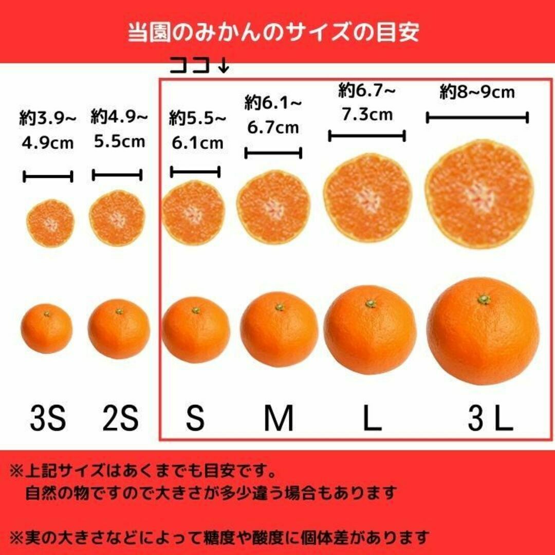 by　3kg　ありだみかんの通販　甘い　少農薬　有田みかん　ギフト・お歳暮にも　あすなろ農園※プロフィール必読｜ラクマ