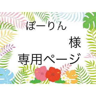 スヌーピー(SNOOPY)のぽーりん 様 オーダーページ(その他)