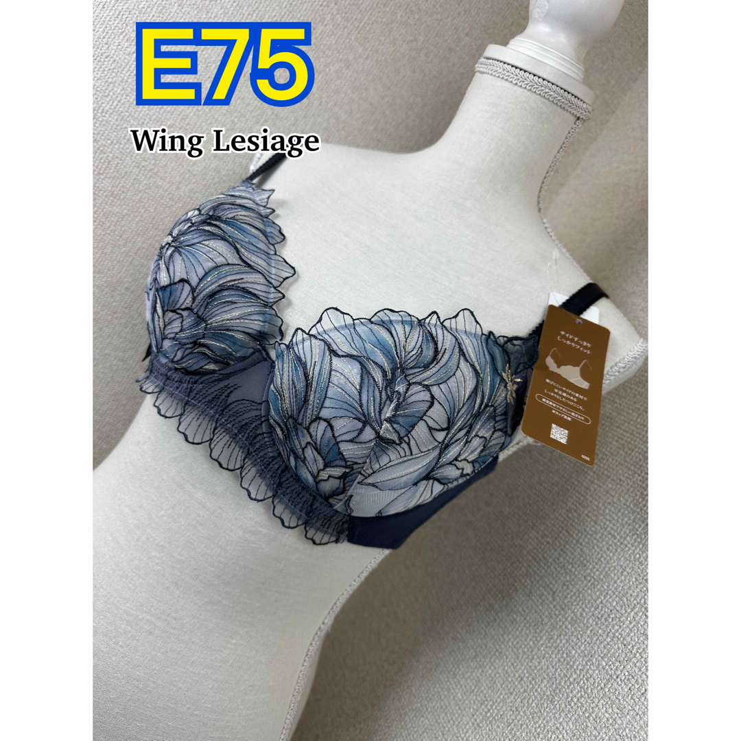 Wing lesiage（WACOAL）(ウイングレシアージュ)のWing Lesiage ブラジャー E75 (PB2750) レディースの下着/アンダーウェア(ブラ)の商品写真