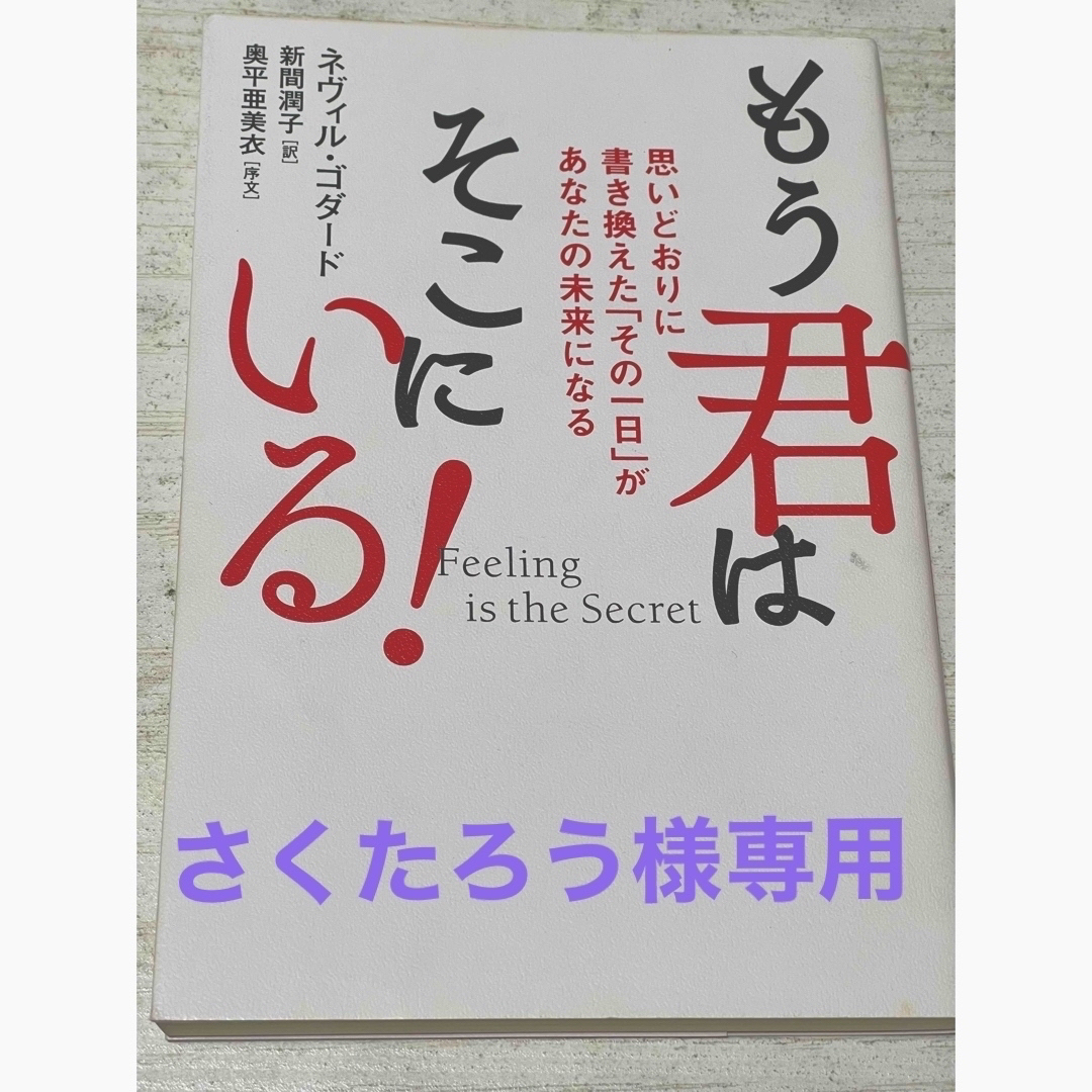 『さくたろう様専用』もう君はそこにいる！、想定の超法則 エンタメ/ホビーの本(ノンフィクション/教養)の商品写真