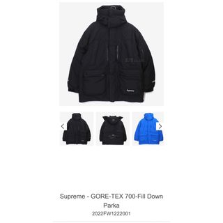 シュプリーム(Supreme)のsupreme GORE TEX 700-Fill Down Parka M(ダウンジャケット)